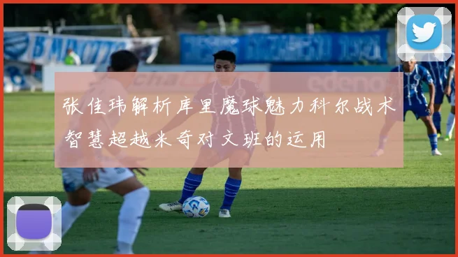 张佳玮解析库里魔球魅力科尔战术智慧超越米奇对文班的运用